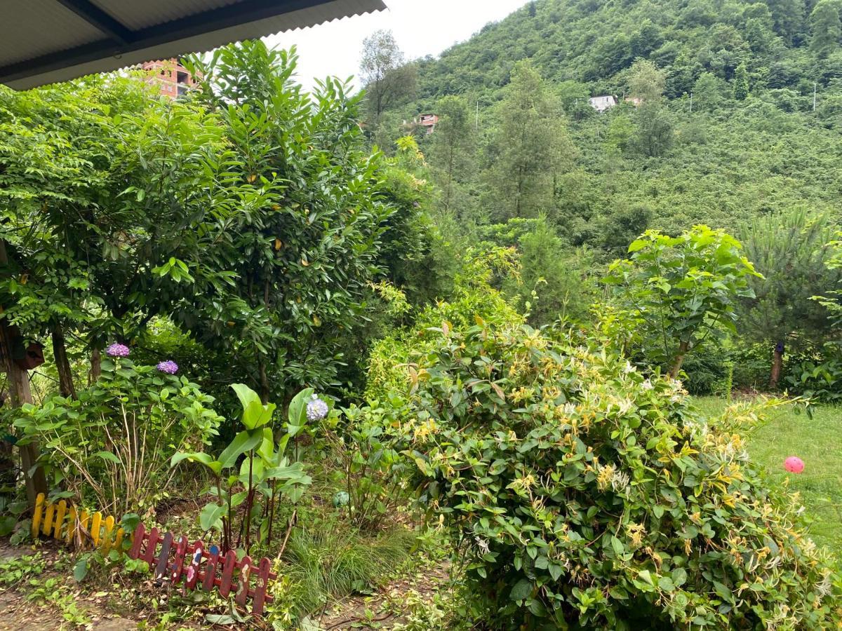 Doga Villa Yomra Zewnętrze zdjęcie